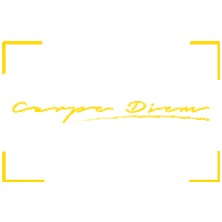 Joy Motivation Sticker by IamOneMind