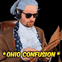 Ohio Reaction Meme GIF