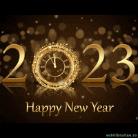 New Year Celebration GIF by echilibrultau