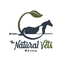 Vet Veterinaria Sticker by thenaturalvetsmx
