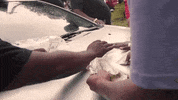 soldierkidd money counting money soldier kidd like dat GIF