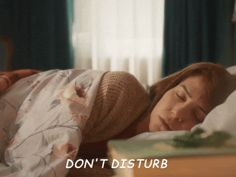 Dont Disturb GIF