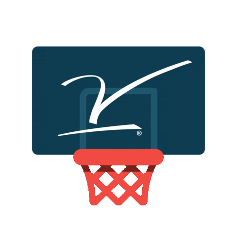 Basketball Hockey Sticker by V Foundation