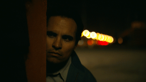 mexico narcos GIF by netflixlat