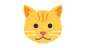 emojivid animals emoji emojivid catface Sticker