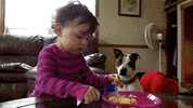 americas funniest home videos GIF by AFV Babies