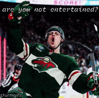 Minnesota Wild Hockey GIF