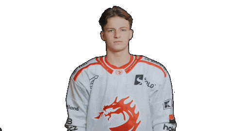 Trinec Sticker by HC Oceláři Třinec