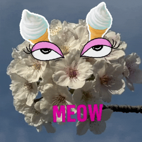 Happy Meow Meow GIF by KaoruHironaka