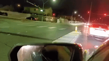 Motorist Films Pack of Coyotes Roaming Through Las Vegas