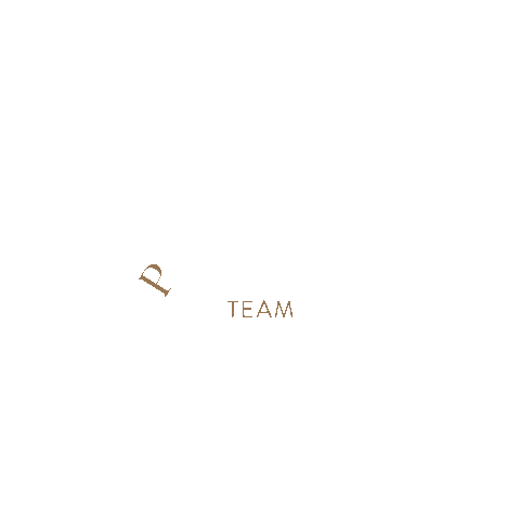 Palleroteam Sticker by pallerospace