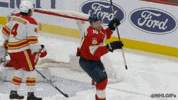Happy Ice Hockey GIF by NHL