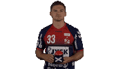 Handball-Bundesliga Sport Sticker by LIQUI MOLY HBL