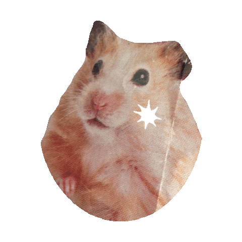 hamster STICKER by imoji