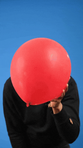 No Way What GIF by Bernardson