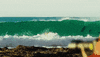 Surfing Hawaii GIF by 50statesproject