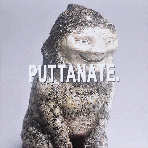 David Bowie Favij GIF