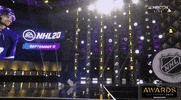 ice hockey sport GIF by NHL