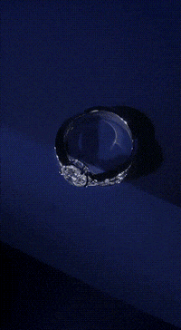 Life Love GIF by Shiv Shambu