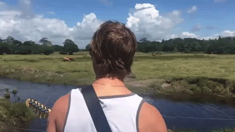 paul banks guitar GIF