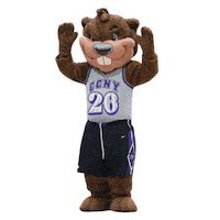 Ccny Sticker by The City College of New York