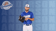 Baseball Tossing GIF by Evansville Otters