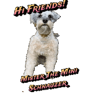 Cute Dog Mister Sticker