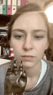 TheFilmFactory vmn vergeetmyniefliek vergeetmynie thefilmfactory GIF