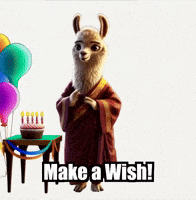 Happy Make A Wish GIF by dalaillamazen