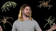 becausescience marvel spider spider-man mcu GIF