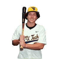 Baseball Sticker by WVU Tech Golden Bears