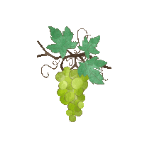 Wine Vine Sticker by Agricamper
