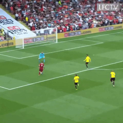 Premier League Football GIF by Liverpool FC