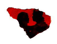 Edm Isr Sticker by Caroline Romano