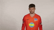 Hertha Berlin Sport GIF by Hertha BSC