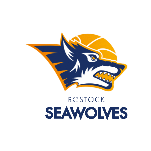jobangebote rostock
