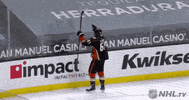 Regular Season Sport GIF by NHL
