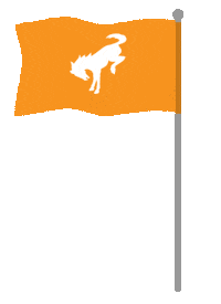 FordMX bronco ford bronco bronco bandera bronco flag Sticker