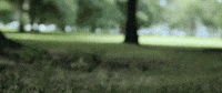 blueprint GIF by The Orchard Films