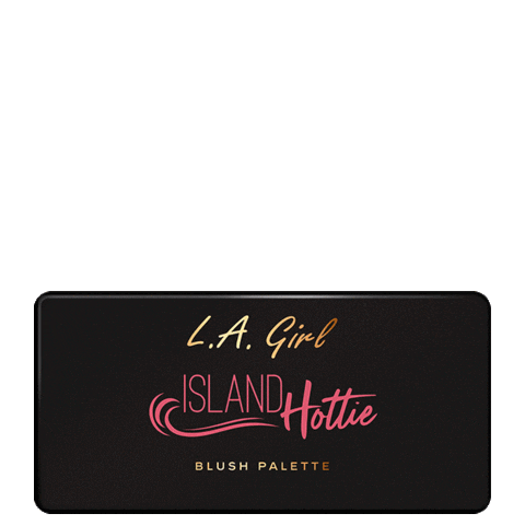 Pink Makeup Sticker by L.A. Girl