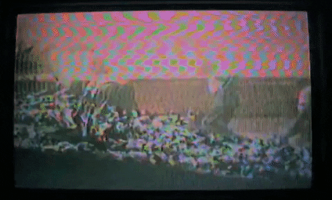 Wanderkid GIF by JW Francis