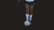 rockvalleycollege rvc athletics rvc womens soccer rvc soccer meleny villa GIF
