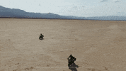 Ride GIF by Harley-Davidson
