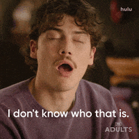 Nick Kroll Idk GIF by Adults