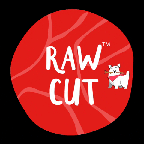 rawcut giphygifmaker giphyattribution cats dogs GIF
