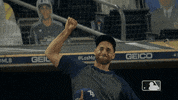 Excited Lets Go GIF by MLB