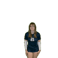 Womens Volleyball Sticker by Clarke University