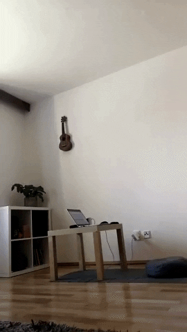 EntrenadorWellness giphygifmaker GIF