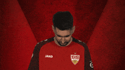Stuttgart GIF by Bundesliga