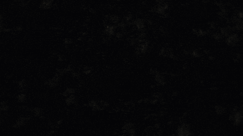 2d animation fire fly GIF by Caleb Wood